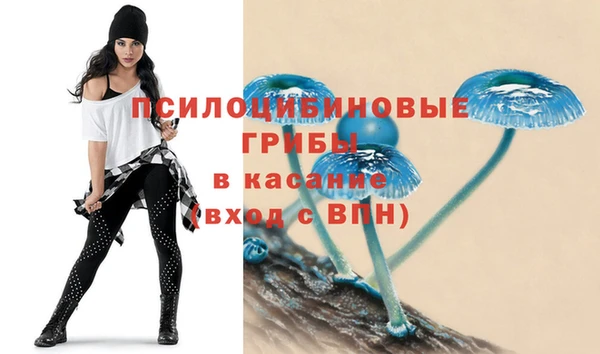 винт Покровск