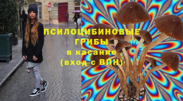 соль ск Алексин