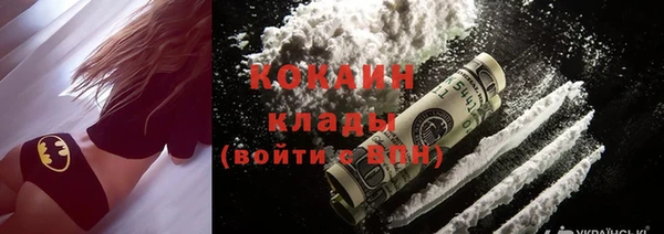 соль ск Алексин