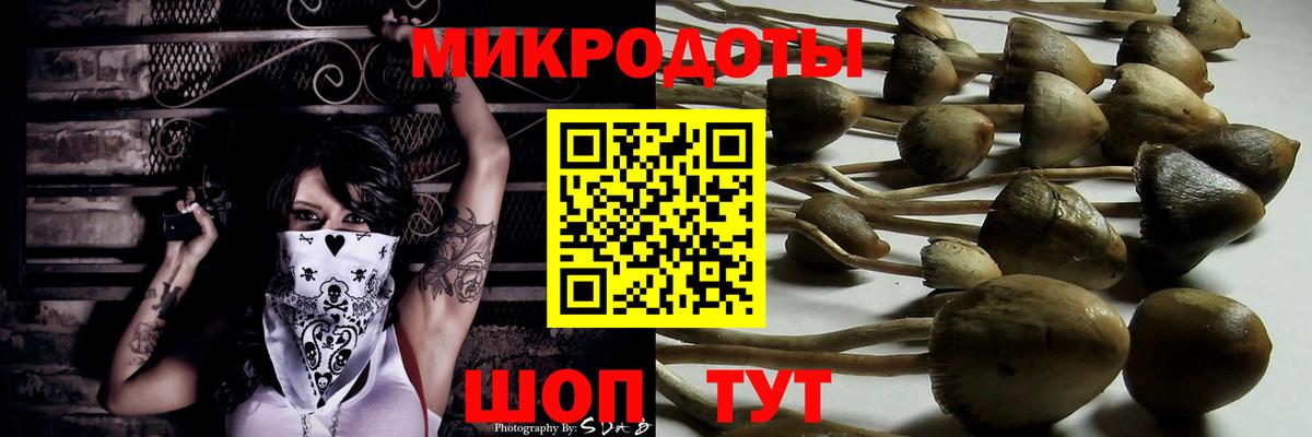 Галлюциногенные грибы мицелий Севастополь