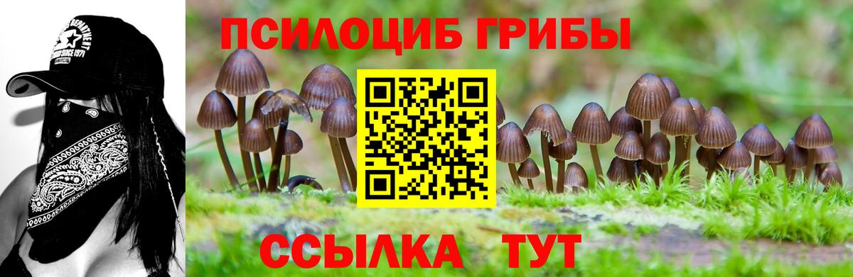 Псилоцибиновые грибы Psilocybe  Галлюциногенные грибы Cubensis  Вход с VPN  Севастополь 